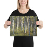 "Midsummer in Lapland" Canvas