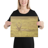 "Enlightened Reindeer" Canvas