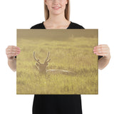 "Enlightened Reindeer" Canvas