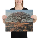 "Archipelago Savannah" Canvas