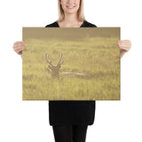 "Enlightened Reindeer" Canvas