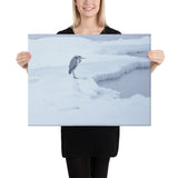 "Dreamy Stork" Canvas