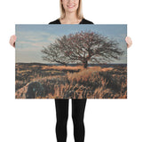 "Archipelago Savannah" Canvas