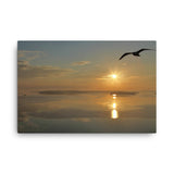 "Morning Flight" Canvas