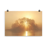 "Morning Rays" Poster