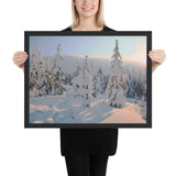 Framed "Winter Light" Photograph