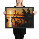 Framed "Gilded by the Sun" Photograph