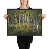 Framed "Midsummer in Lapland" Photograph