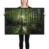 Framed "Fem Forest" Photograph