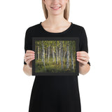 Framed "Midsummer in Lapland" Photograph