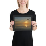 Framed "Morning Flight" Photograph