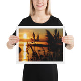 Framed "Gilded by the Sun" Photograph