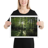 Framed "Fem Forest" Photograph