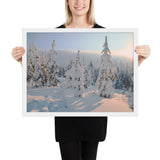 Framed "Winter Light" Photograph