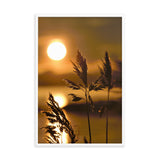 Framed "In the Evening Breeze" Photograph