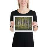 Framed "Midsummer in Lapland" Photograph