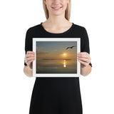 Framed "Morning Flight" Photograph